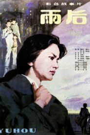 雨后 1982 one on netflix
