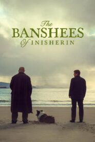 The Banshees of Inisherin 2022 one on netflix