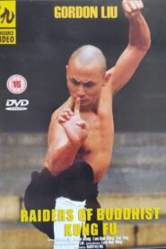 Raiders of Buddhist Kung Fu 1981 one on netflix
