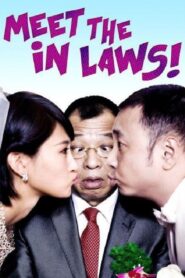 Meet the In Laws 2012 one on netflix