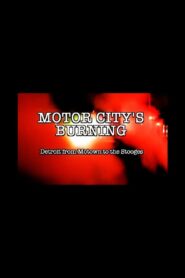 Motor City’s Burning: Detroit from Motown to the Stooges 2008 one on netflix