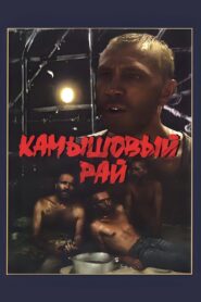 Reed Paradise 1989 one on netflix