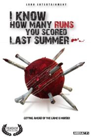 I Know How Many Runs You Scored Last Summer 2008 one on netflix