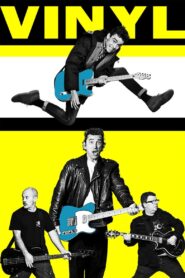 Vinyl 2012 one on netflix