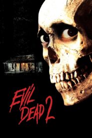 Evil Dead II 1987 one on netflix