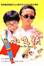Teenage Master 1995 one on netflix