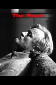 The Room 2001 one on netflix