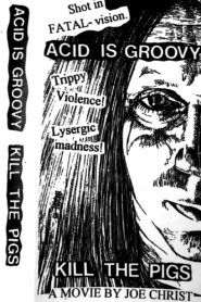 Acid Is Groovy Kill the Pigs 1993 one on netflix