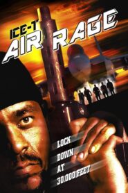 Air Rage 2001 one on netflix