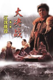 Decisive Engagement: The Liaoxi Shenyang Campaign 1991 one on netflix