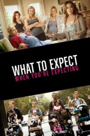 What to Expect When You’re Expecting 2012 one on netflix