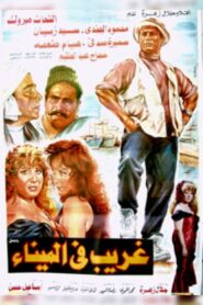 غريب فى الميناء 1995 one on netflix