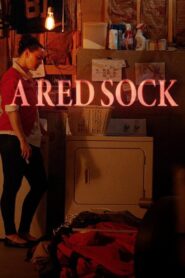 A Red Sock 2020 one on netflix