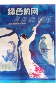 绿色的网 1986 one on netflix