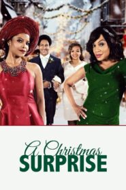 A Christmas Surprise 2020 one on netflix