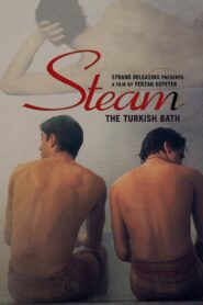 Steam: The Turkish Bath 1997 one on netflix