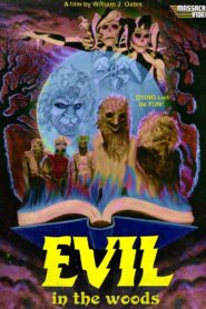 Evil in the Woods 1986 one on netflix