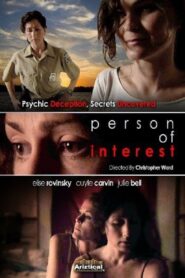 Person of Interest 2007 one on netflix