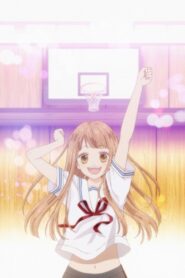 Tsubasa and Hotaru 2014 one on netflix