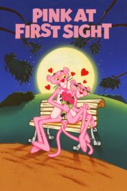 The Pink Panther in ‘Pink at First Sight’ 1981 one on netflix