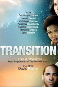 Transition 2015 one on netflix