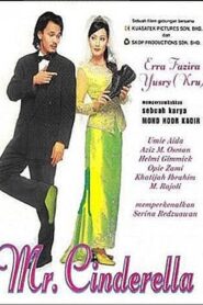 Mr. Cinderella 2002 one on netflix