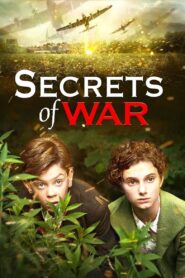 Secrets of War 2014 one on netflix