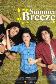 Summer Breeze 2008 one on netflix