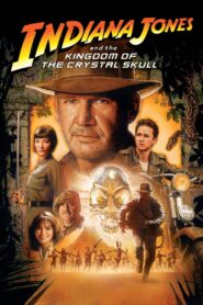 Indiana Jones and the Kingdom of the Crystal Skull 2008 one on netflix
