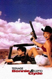 Teenage Bonnie and Klepto Clyde 1993 one on netflix