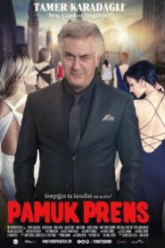 Pamuk Prens 2016 one on netflix