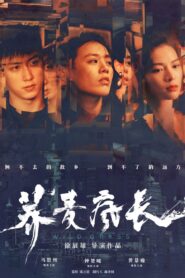 Wild Grass 2020 one on netflix