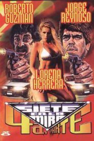 Siete en la mira 4: Yo soy la ley 1991 one on netflix
