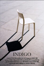 Indigo 2017 one on netflix