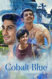 Cobalt Blue 2022 one on netflix