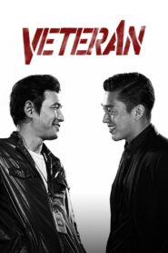 Veteran 2015 one on netflix