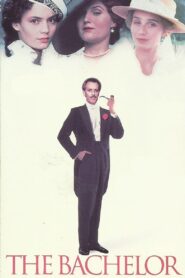 The Bachelor 1990 one on netflix