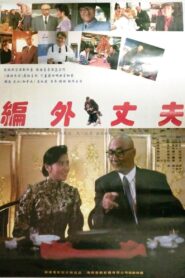 编外丈夫 1993 one on netflix