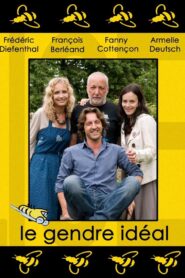 Le Gendre idéal 2008 one on netflix