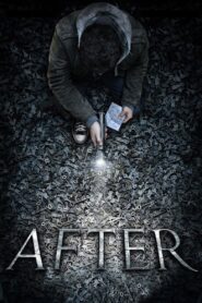 After 2012 one on netflix