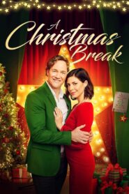 A Christmas Break 2020 one on netflix