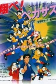 Tobe! Pegasus Kokoro no Goal ni Shoot 1995 one on netflix