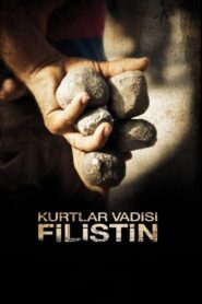 Valley of the Wolves: Palestine 2011 one on netflix