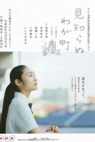 Stranger in My Town 2011 one on netflix