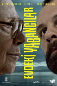 Strangers in the House 2013 one on netflix