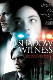 Shadow Witness 2012 one on netflix
