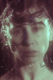 Petals 1990 one on netflix