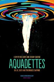 Aquadettes 2011 one on netflix