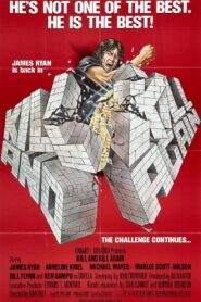 Kill and Kill Again 1981 one on netflix