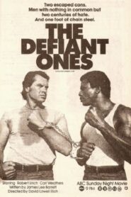 The Defiant Ones 1986 one on netflix
